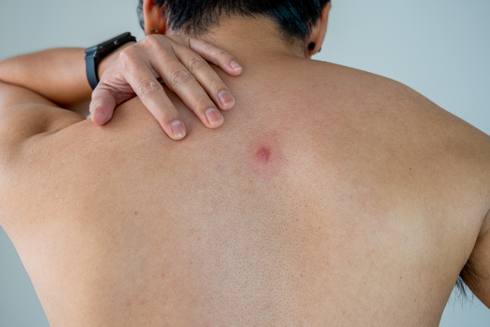 iStock-1359486040.jpg